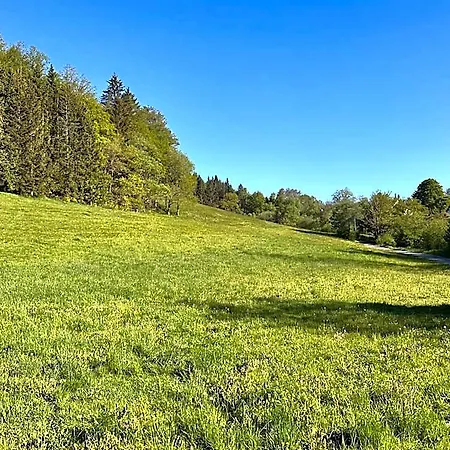 Smart B&b1 Bb1 126 * Winterberg